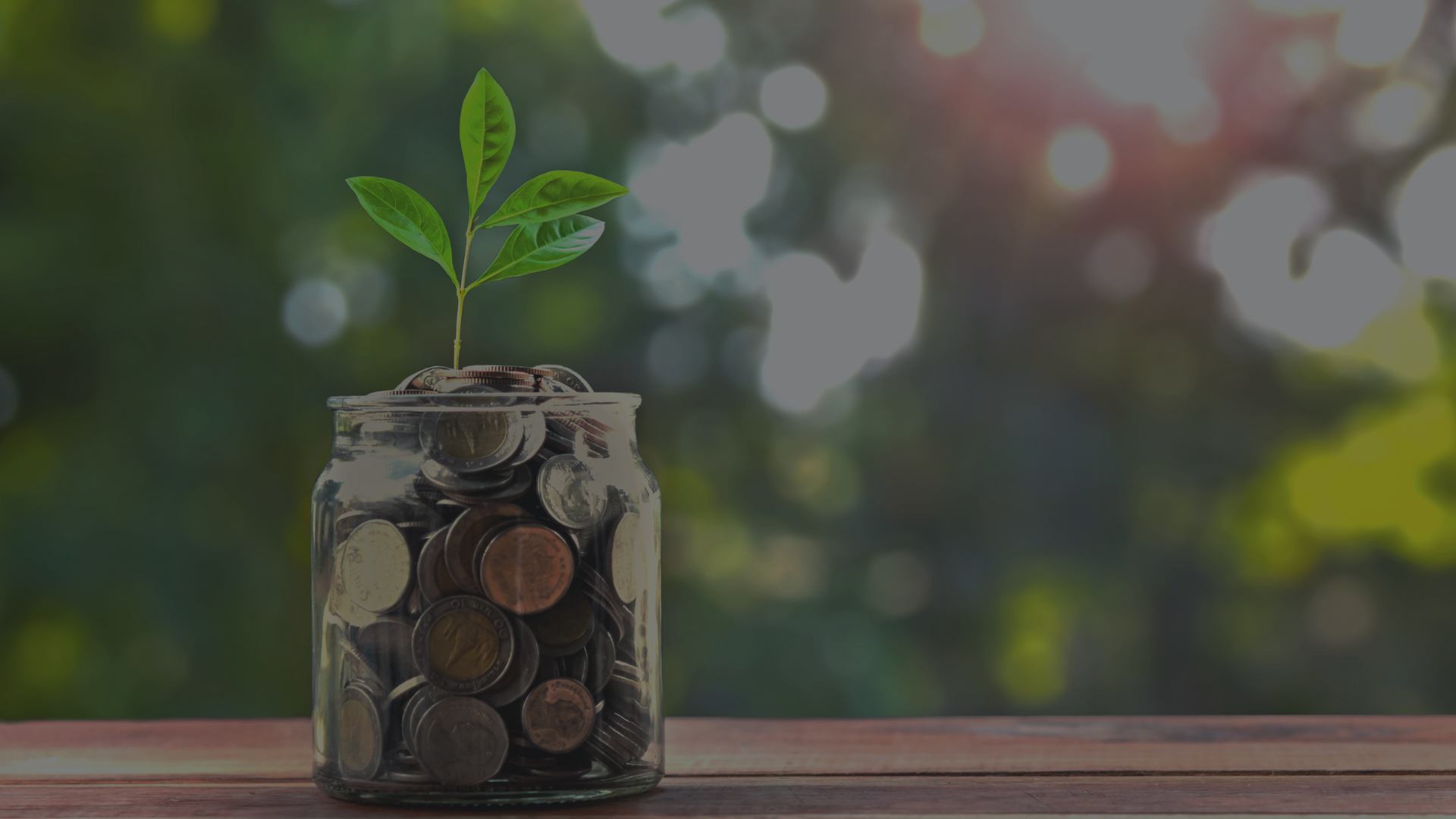 Developing a Compensation Philosophy - Webinar - Image for Landing Page
