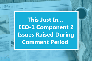 This Just In... EEO-1 Component 2 Issues Raised During Comment Period