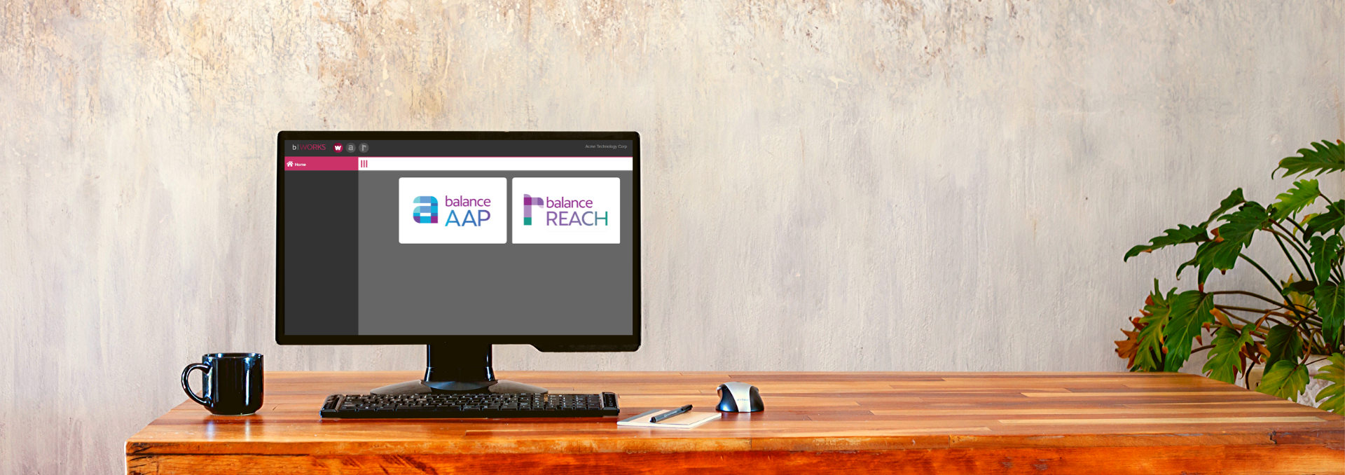 aa software - bright version aa software - bright version
